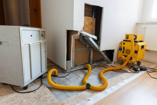 Reliable West Bend, WI Mold Removal Solutions